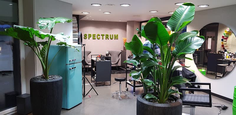 Spectrum Hair Studio by Luca Senn — Coiffeur in Affoltern am Albis