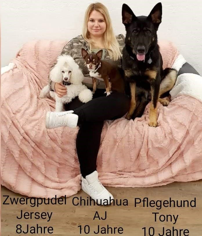 Hundesalon & Hundesitting New Jersey — Tierarzt in Dietikon (Bild 2)
