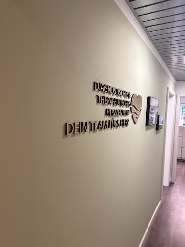 Diagnostisches und therapeutisches Herzzentrum AG — Arzt in Zürich