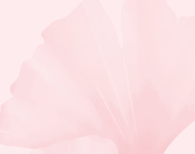 Swiss Breast Care — Naturheilpraktiker in Zürich (Bild 3)