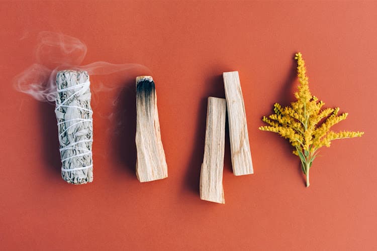 Dominique Iseppi / Yoga & Ayurveda — Yoga-Studio in Zürich