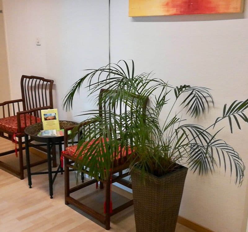 SinoQi TCM Zentrum Zürich Albisrieden — Naturheilpraktiker in Zürich (Bild 3)