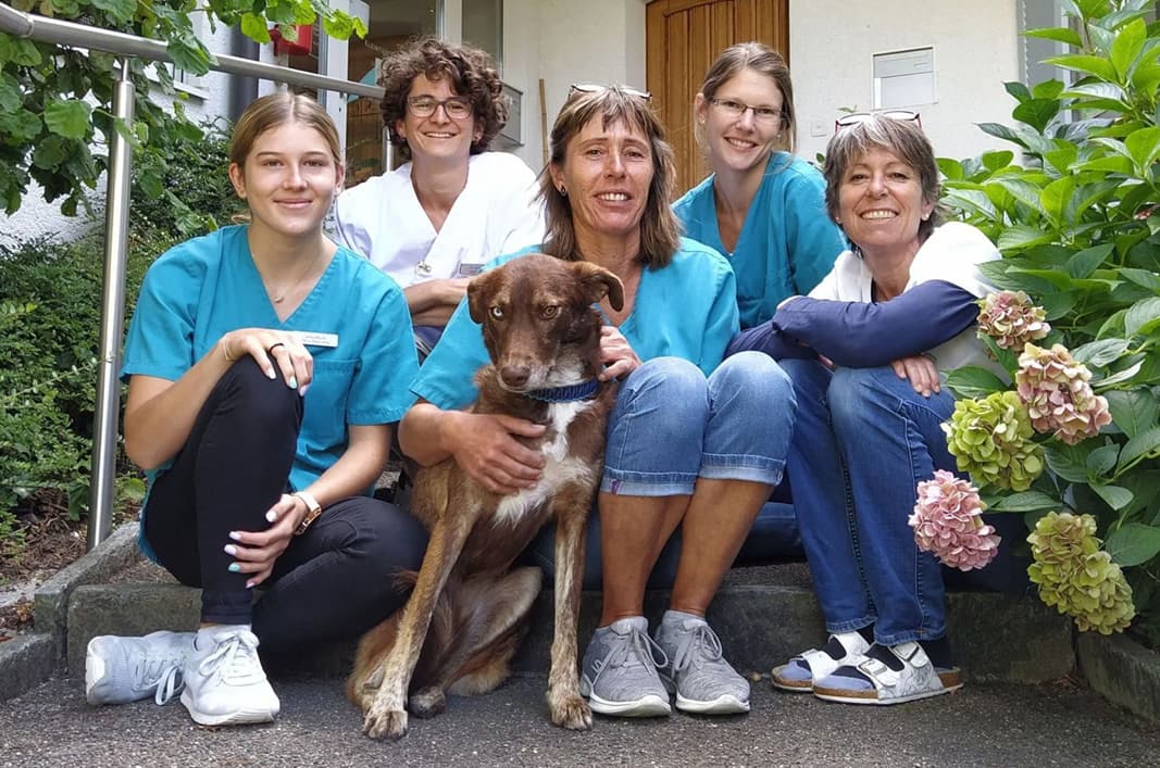 MeikoVet Kleintierpraxis PetMed Uster — Tierarzt in Uster (Bild 2)