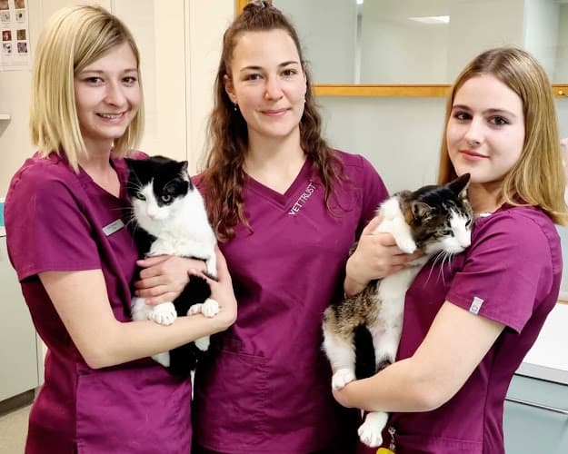 VetTrust Kleintierpraxis Aabach Uster — Tierarzt in Uster