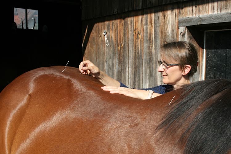 Dr. med. vet. Keller Bettina — Tierarzt in Uster