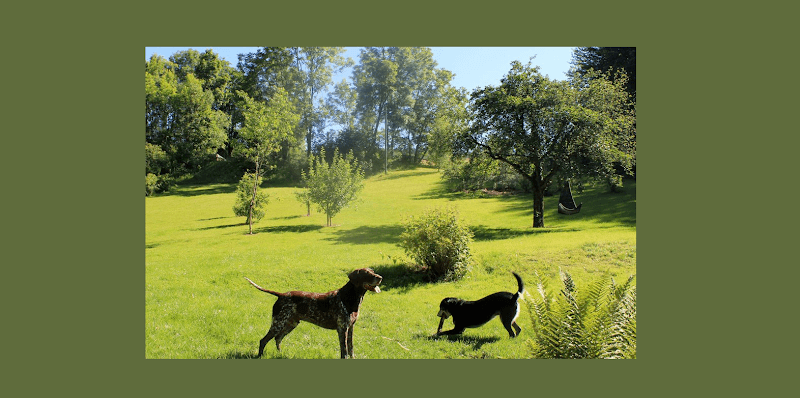 HelloBello — Sonstige in Meilen