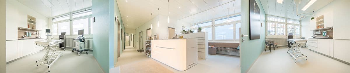 Kleintierpraxis Wetzikon — Tierarzt in Wetzikon (Bild 3)