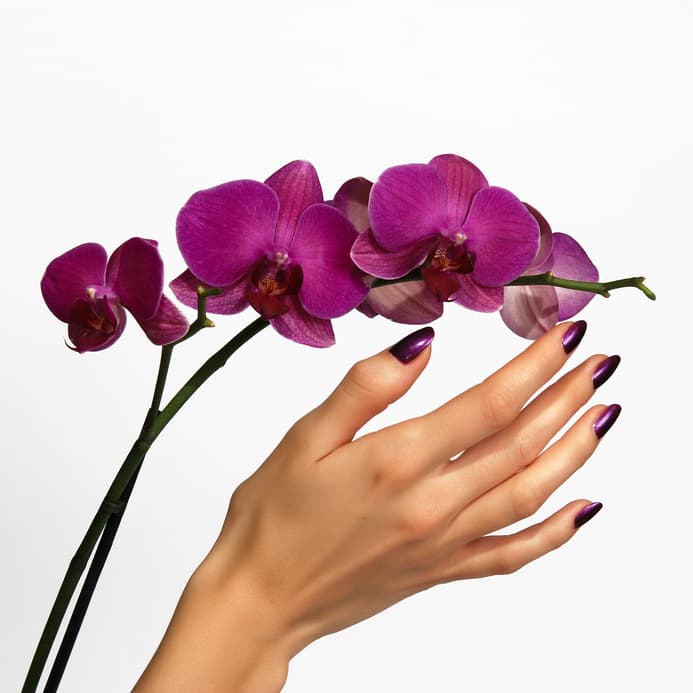 Leng Beauty — Kosmetikstudio in Zürich (Bild 2)