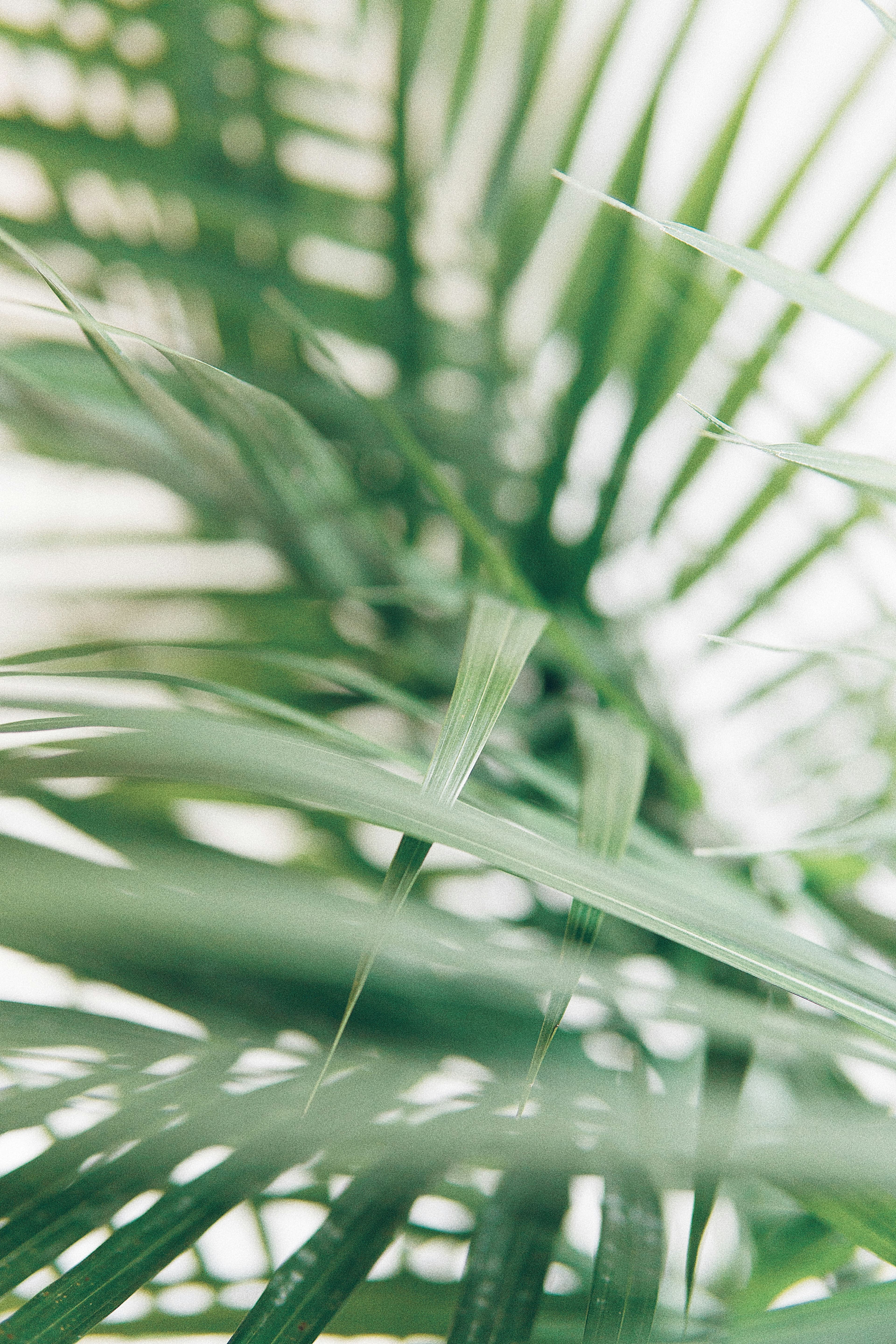 JIRA WELLNESS AND BEAUTY — Massage in Zürich (Bild 3)