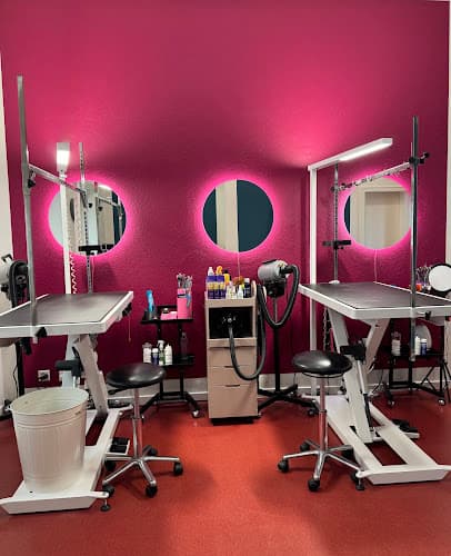 Hot Dog Grooming GmbH - Hundesalon & Hundecoiffeur in Zürich — Tierarzt in Zürich
