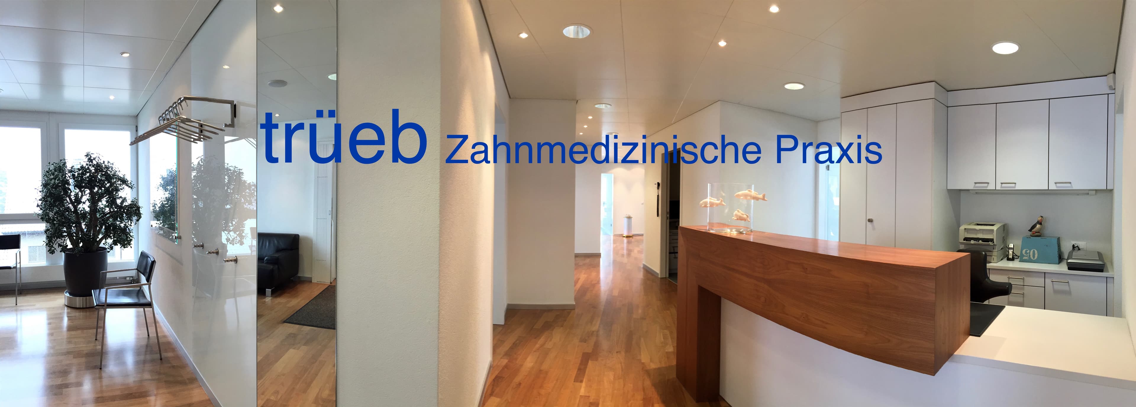 Zahnmedizinische Praxis trüeb — Zahnarzt in Dielsdorf (Bild 2)