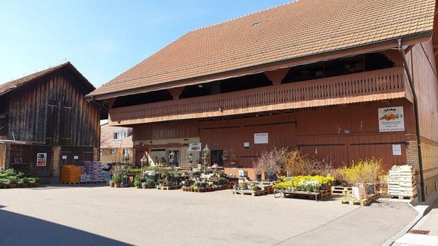 Grimm Obst u. Gemüsehandels AG — Supermarkt in Küsnacht (Bild 3)