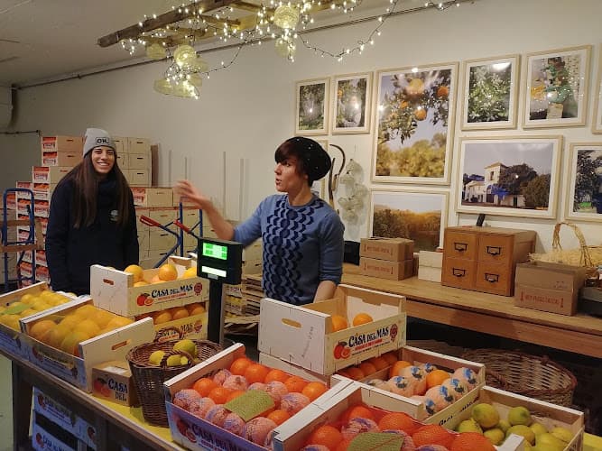Casa del Mas AG — Supermarkt in Küsnacht