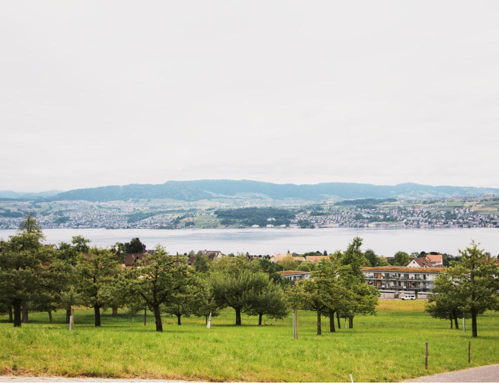 Panoramahof Boldern Hoflädeli — Sonstige in Männedorf (Bild 2)