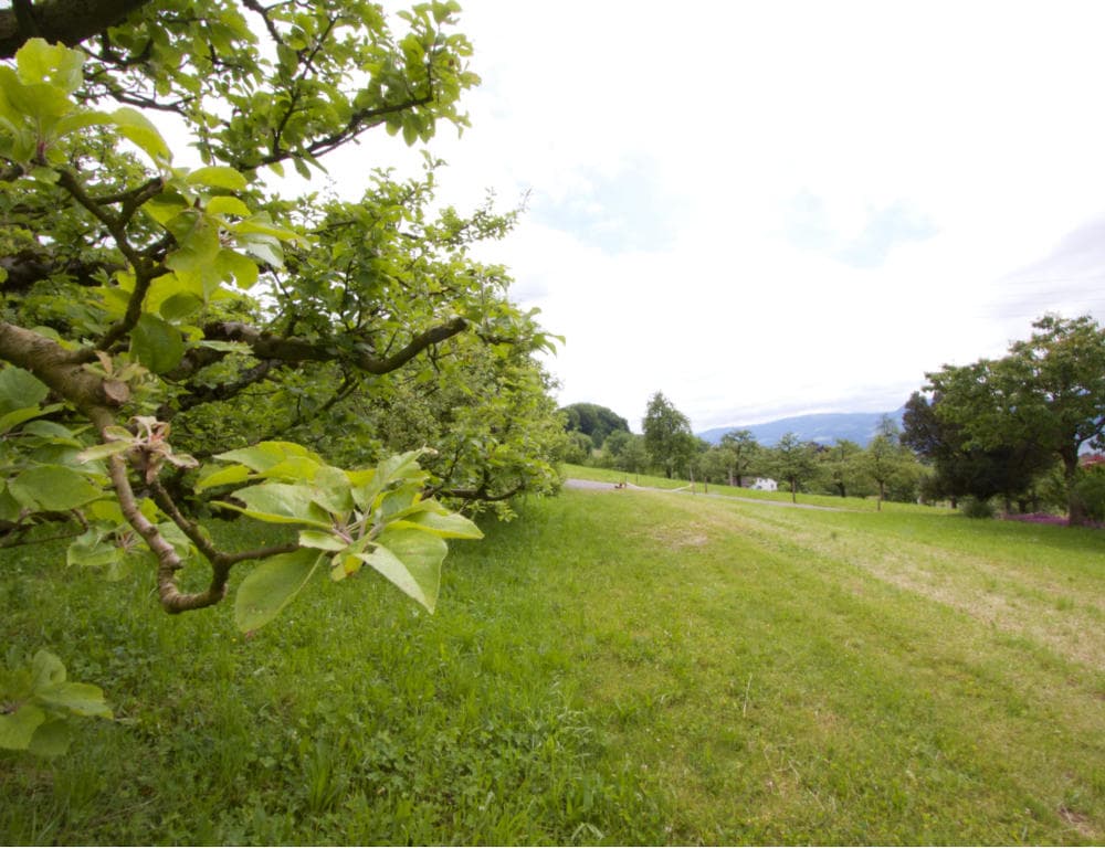 Panoramahof Boldern Hoflädeli — Sonstige in Männedorf (Bild 3)