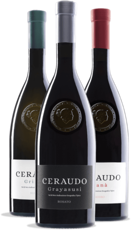 CUORE DEL VINO — Weinhandlung in Rüschlikon (Bild 2)