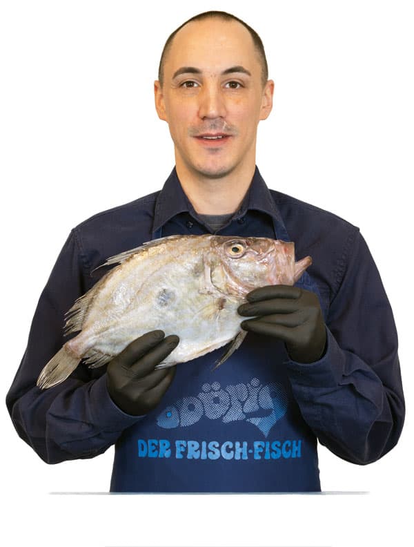 DER FRISCH-FISCH MERCATO — Metzgerei in Dietikon (Bild 3)