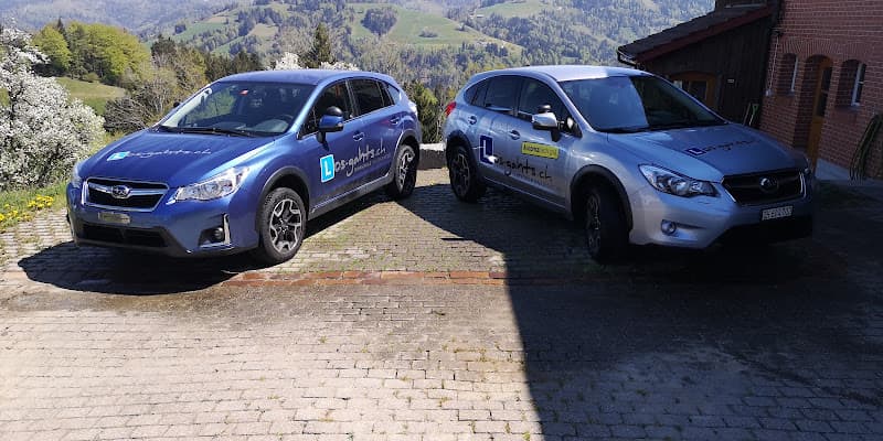 Losgahts.ch Fahrschule Walter Matter — Fahrschule in Uster