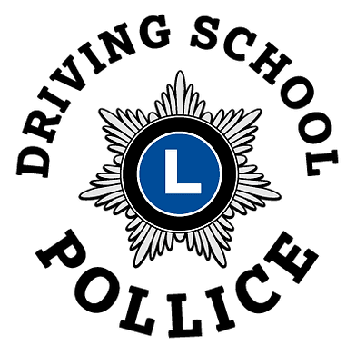Driving School Pollice — Fahrschule in Uster (Bild 2)