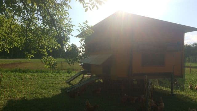 Wegmann's BnB — Hotel in Andelfingen (Bild 3)