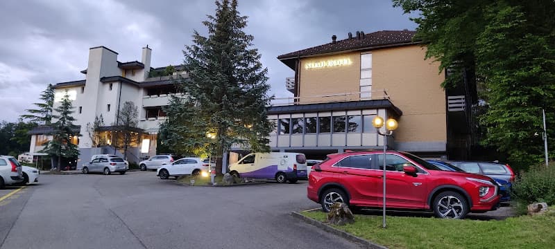 Noah Hotel — Hotel in Rüti