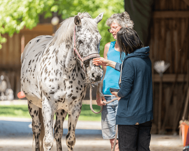 tiertherapien.ch Anita Müller