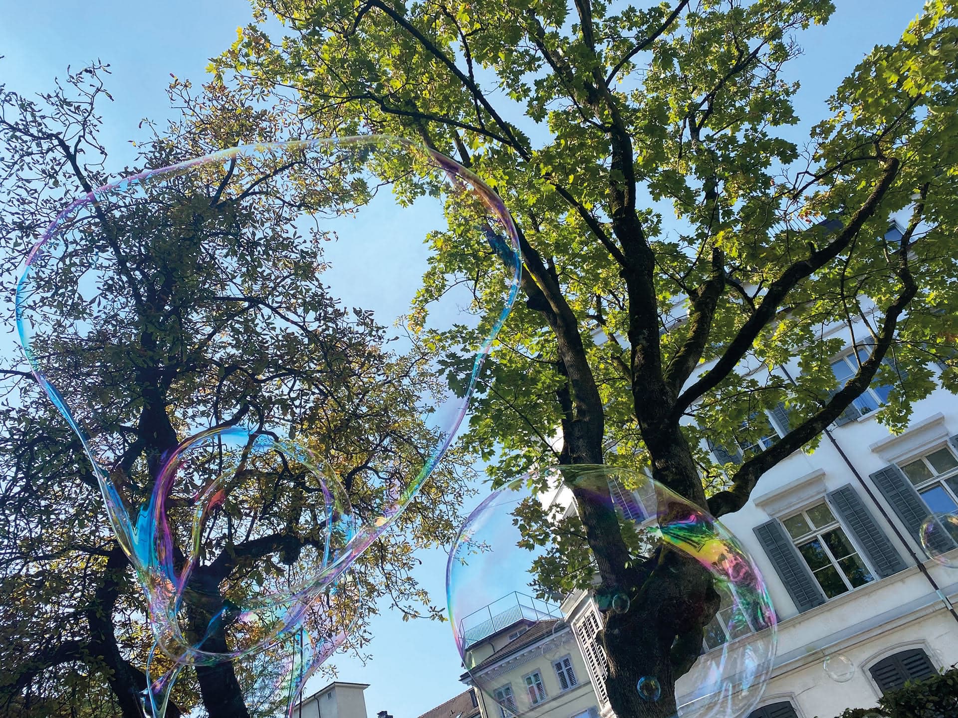 Wohn- und Arbeitsgemeinschaft Suneboge — Sonstige in Zürich (Bild 2)