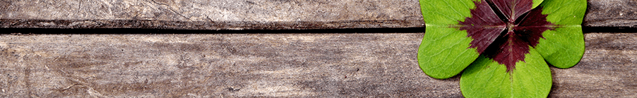 Bio Hofladen Tannenhof — Supermarkt in Kloten (Bild 2)