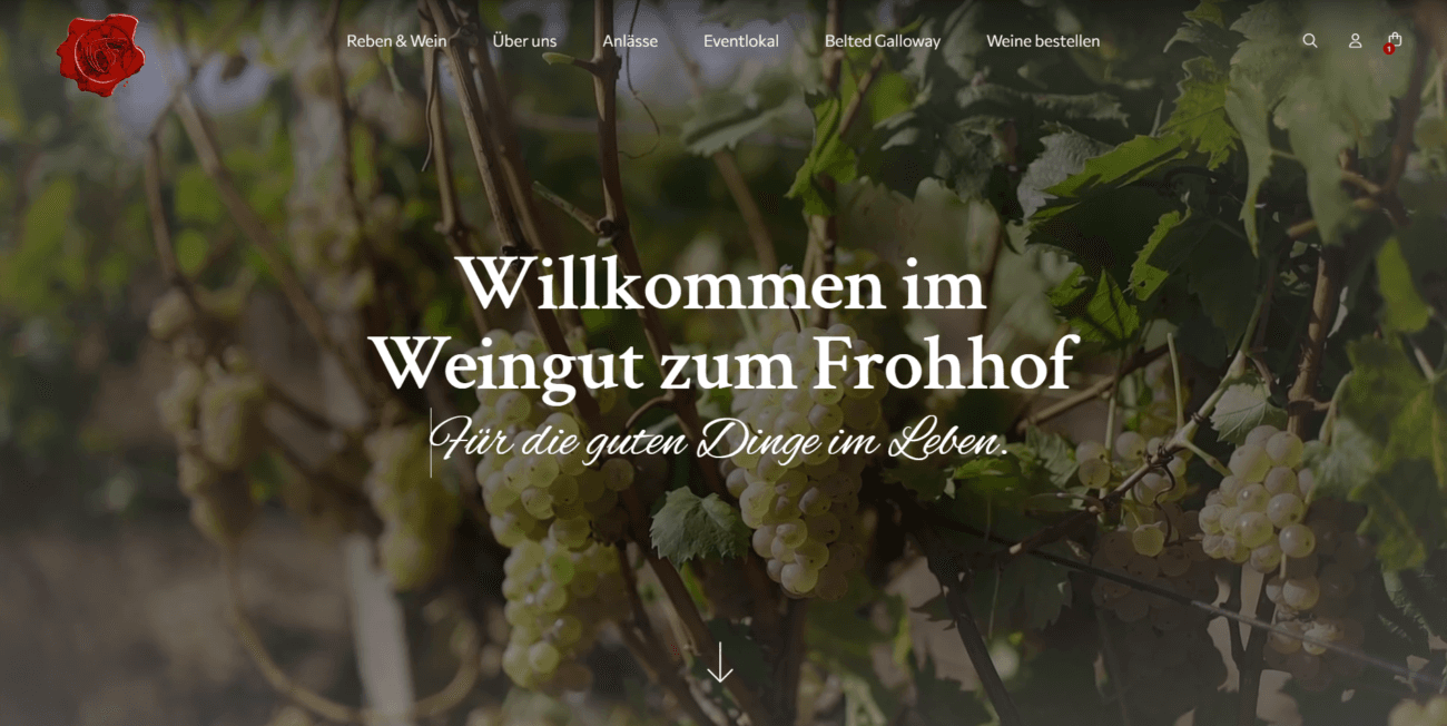 Weingut Zum Frohhof — Weinhandlung in Neftenbach (Bild 2)