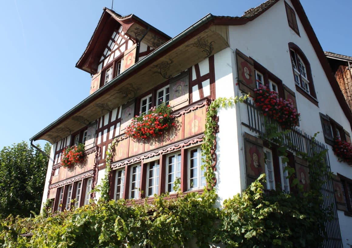 Bachmann Weingut am Zürichsee — Weinhandlung in Stäfa (Bild 3)