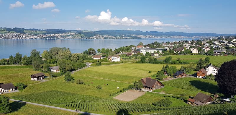 Lattenberger Weine Familie Menzi — Weinhandlung in Stäfa