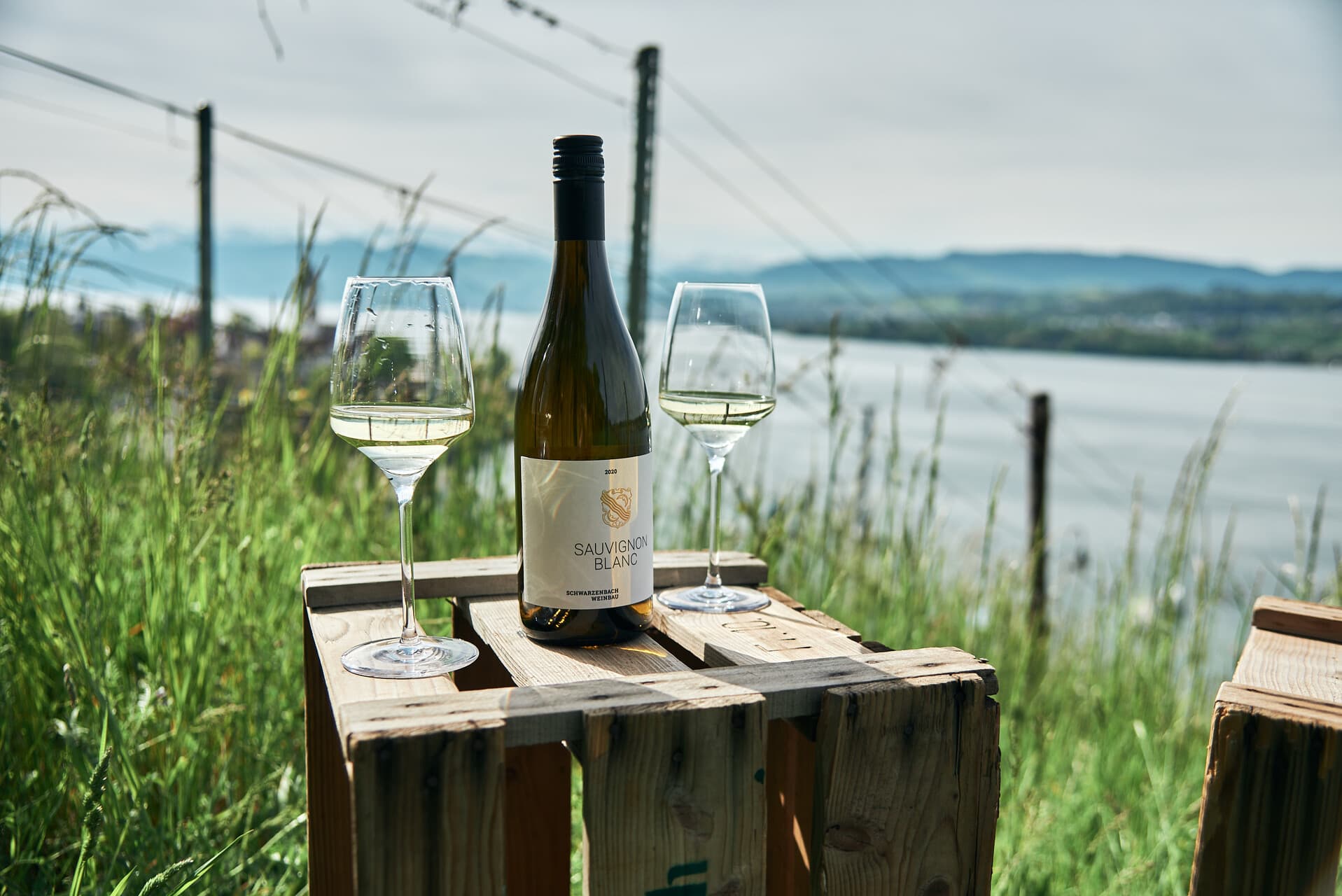Schwarzenbach Weinbau — Weinhandlung in Meilen (Bild 2)