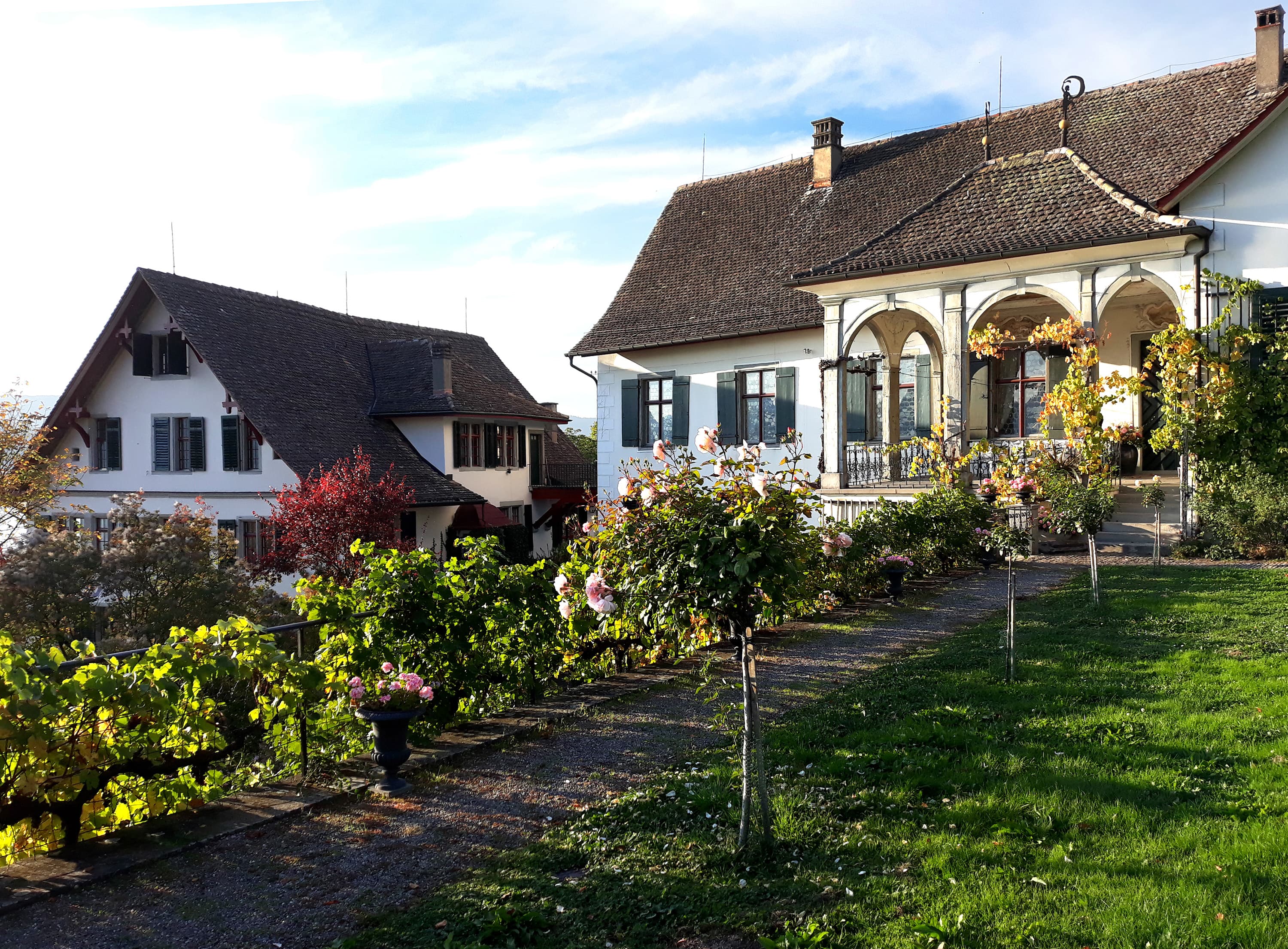 Weingut SCHIPF — Weinhandlung in Herrliberg (Bild 3)