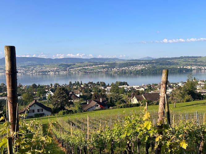 Heiri Bolleter Weinbau GmbH — Weinhandlung in Meilen