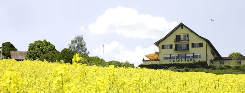 Gasthof Herrenberg — Restaurant in Bergdietikon (Bild 2)