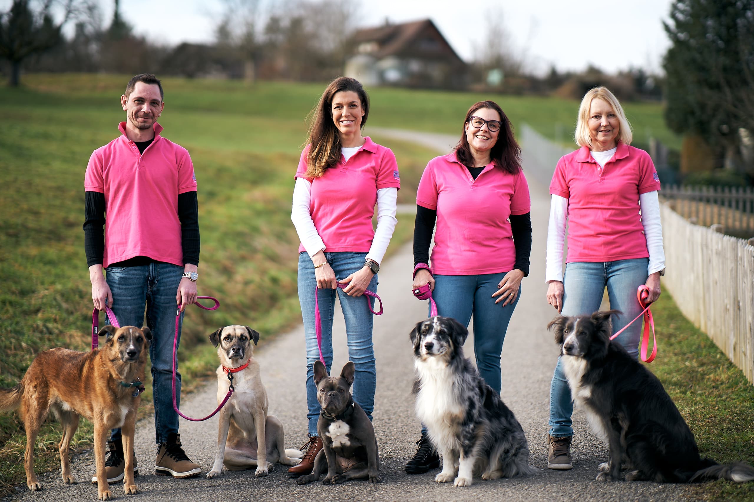 Hundebetreuung / Dog Walking & Care Bouncy Buddies — Tierarzt in Mönchaltorf (Bild 3)