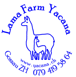 Lama Farm Yacana — Sonstige in Gossau ZH (Bild 3)
