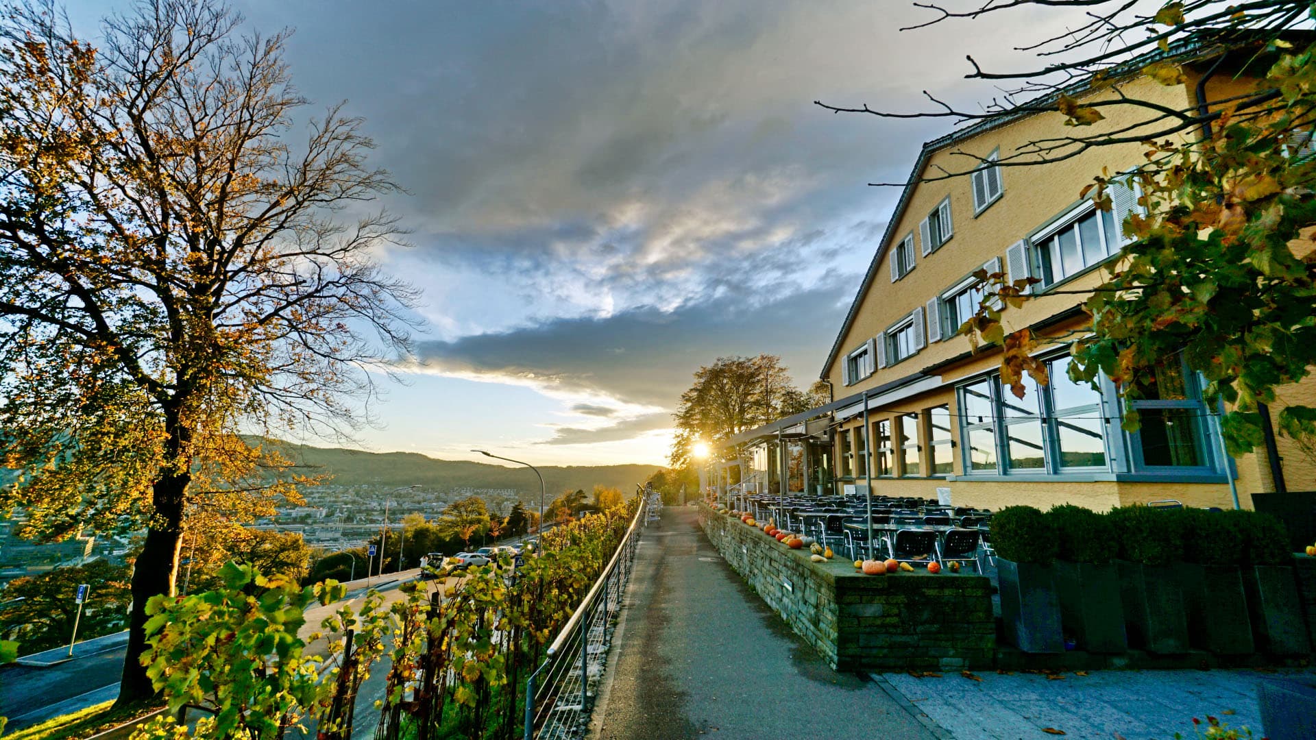 Die Waid — Restaurant in Zürich (Bild 2)