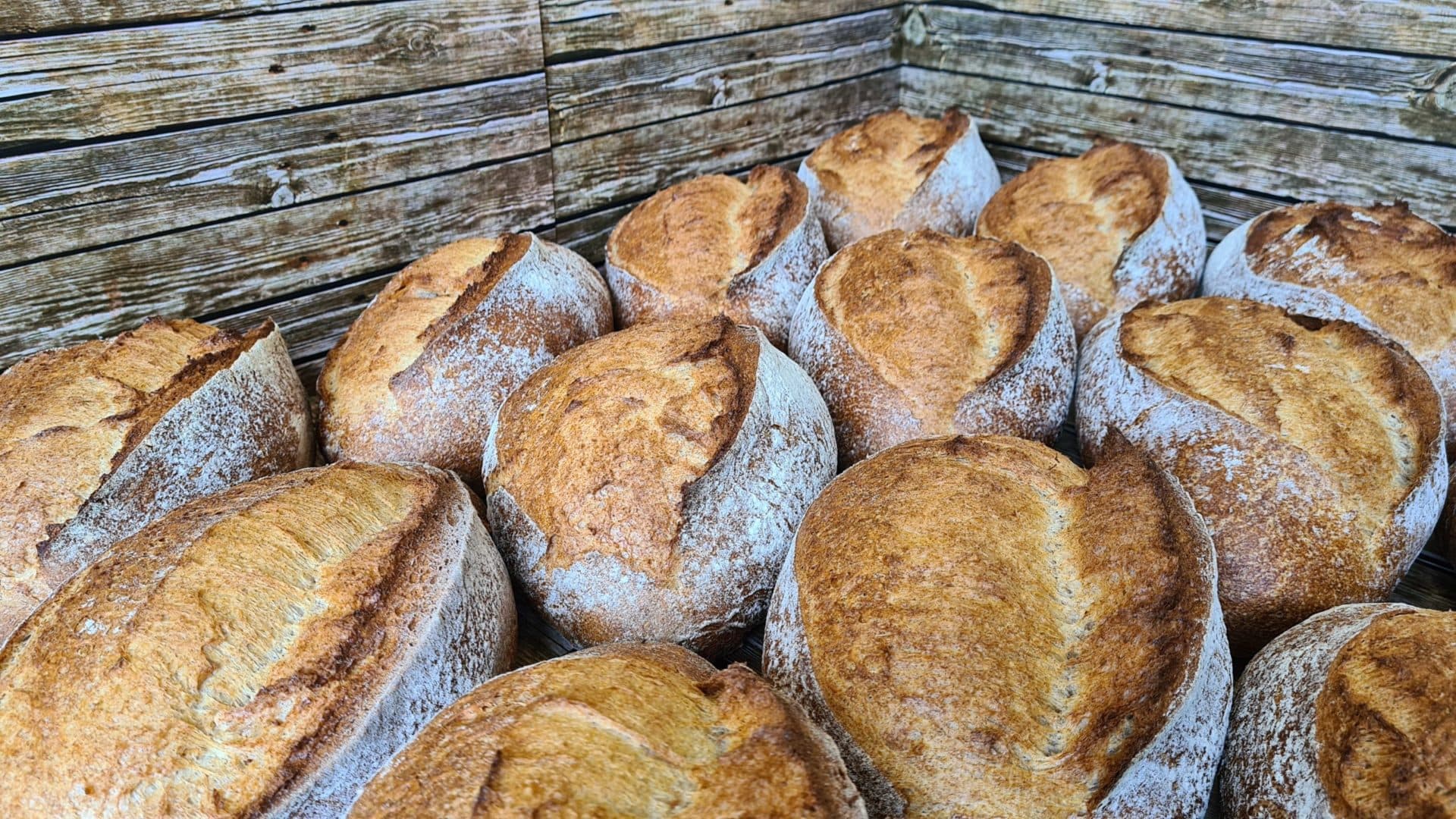 Pfyl — Bäckerei in Zürich (Bild 3)