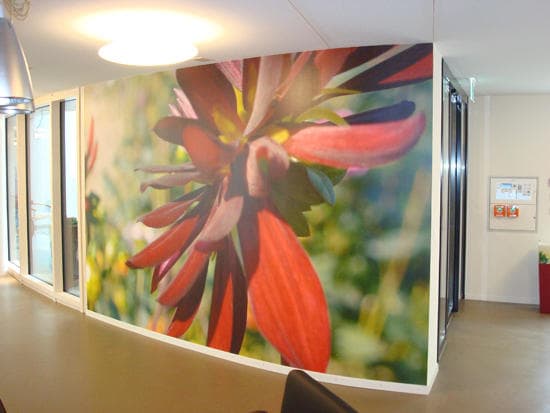 Malerei Wülser & Partner GmbH — Maler in Winterthur