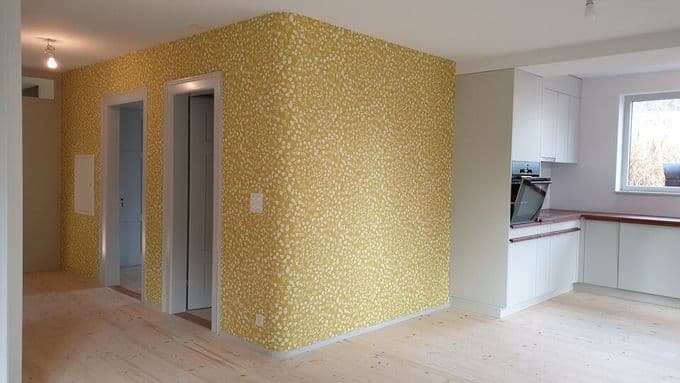 Maler Dao — Maler in Winterthur (Bild 3)