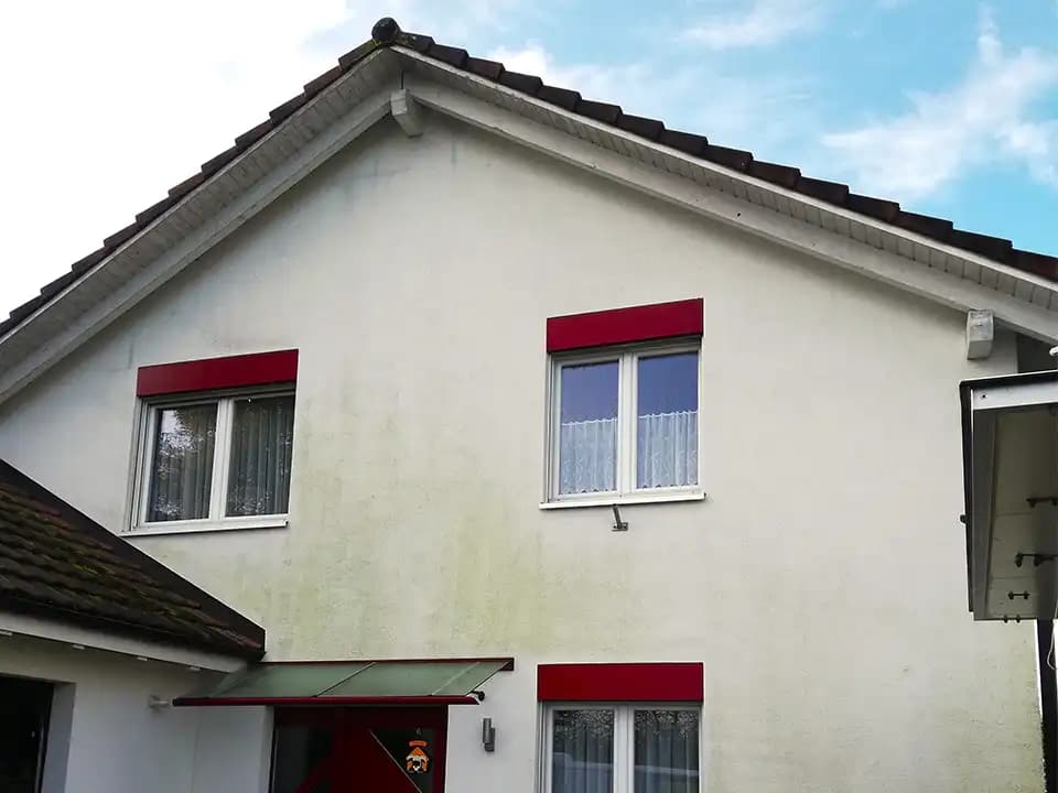Algen Killer Fassadenreinigung — Maler in Neftenbach (Bild 2)