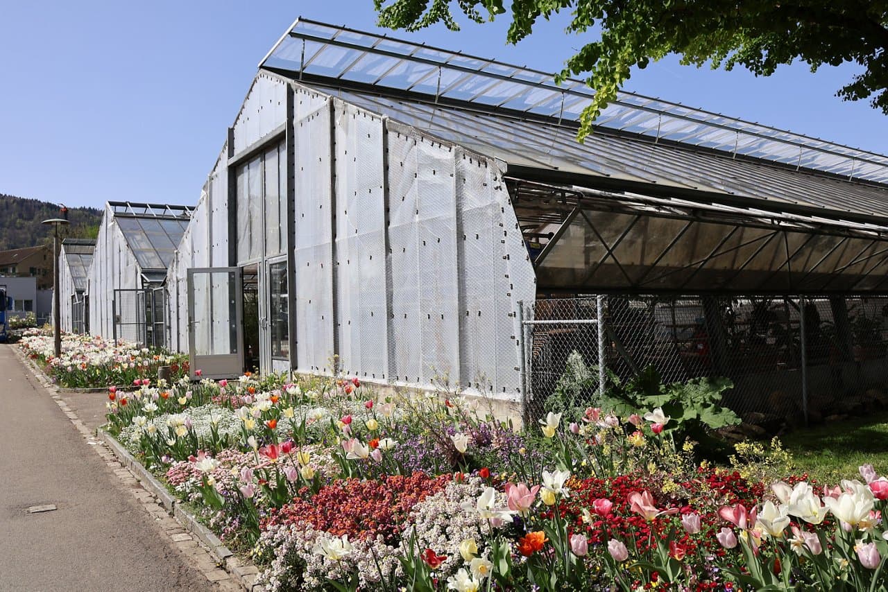 Stadtgärtnerei — Sonstige in Zürich