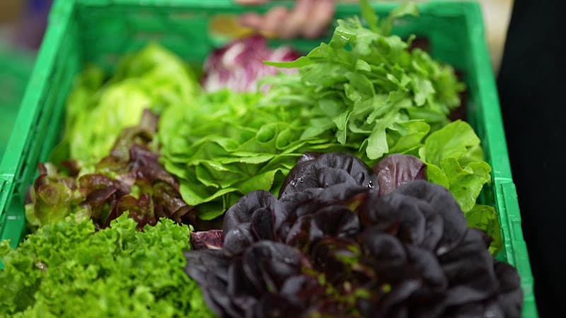 Reust Gastro AG — Supermarkt in Zürich