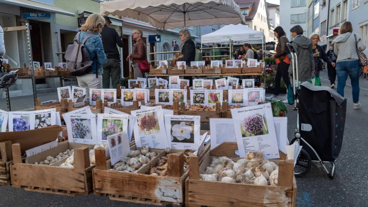 Wochenmarkt Winterthur — Geschaeft in Winterthur (Bild 2)