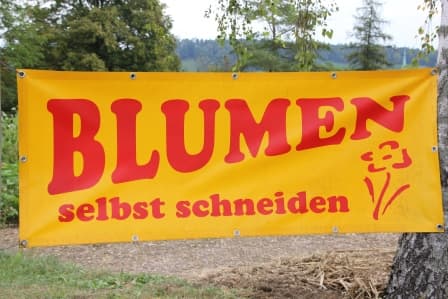 Märki's Blumen selbst schneiden — Geschaeft in Winterthur (Bild 2)