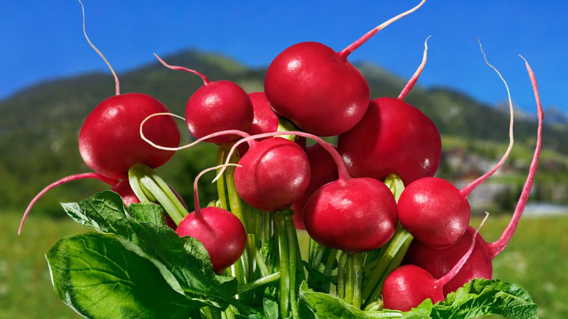 Volg — Supermarkt in Neftenbach (Bild 2)