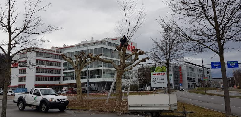 Danis Gärtner Gartenbau + Pflege in Aargau und Zürich