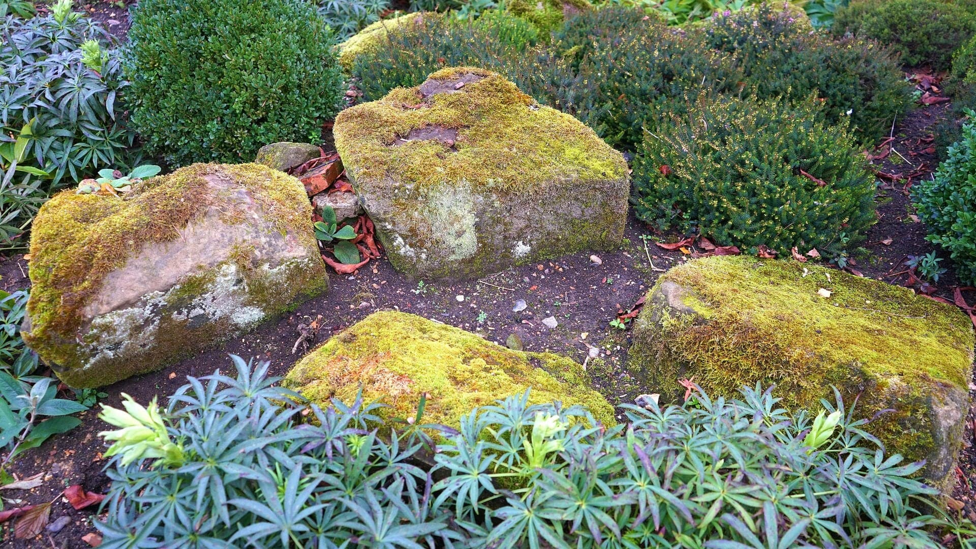 Www.mlhauswartung.ch — Sonstige in Kloten (Bild 2)