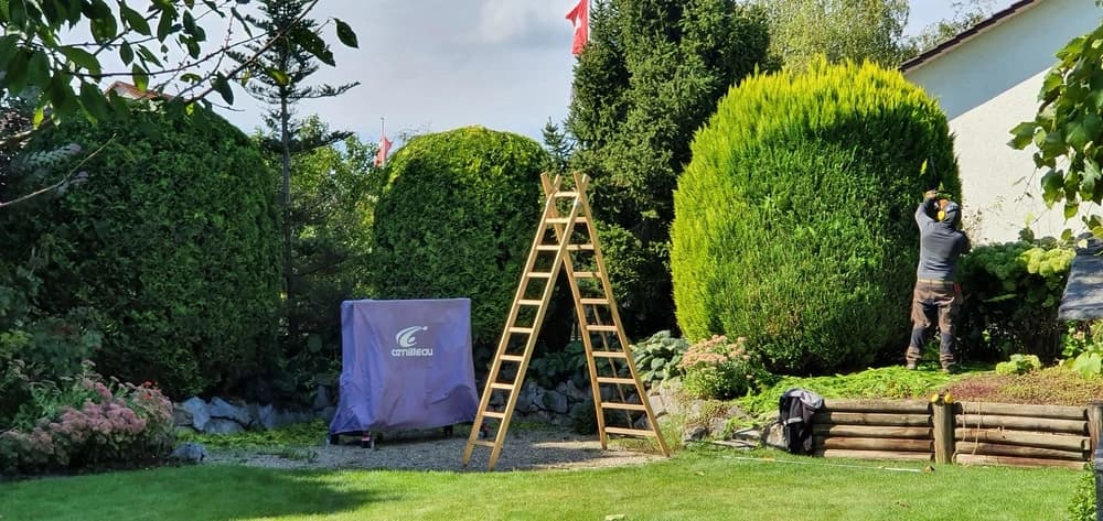 Fretz Gartenpflege GmbH | Ihr Gärtner in Winterthur & Umgebung — Gärtner in Winterthur (Bild 3)